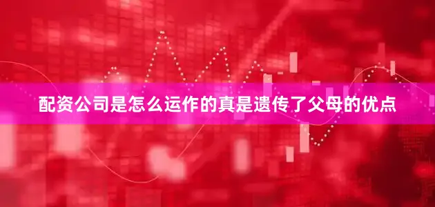 配资公司是怎么运作的真是遗传了父母的优点