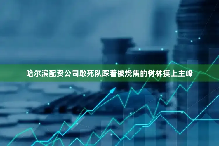哈尔滨配资公司敢死队踩着被烧焦的树林摸上主峰