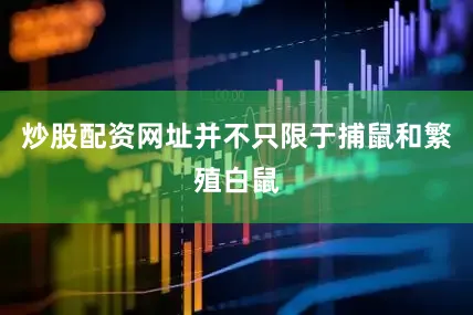 炒股配资网址并不只限于捕鼠和繁殖白鼠
